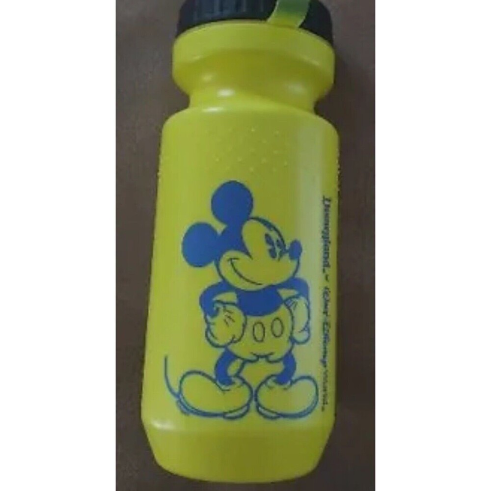 Vintage Disney Water Bottle
